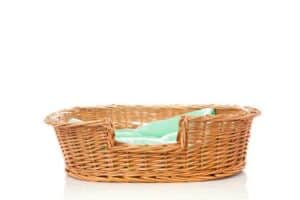 Rattan Hundebett (depositphotos.com) Rattan Hundebett (depositphotos.com)