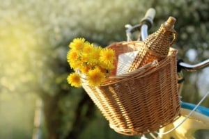 Der Fahrradkorb vorne aus Rattan (depositphotos.com)