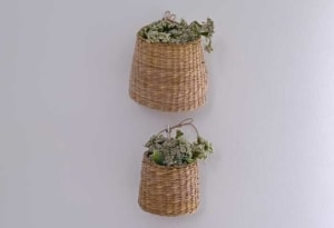 Ein Rattan Wandkorb mit Pflanzen (depositphotos.com)